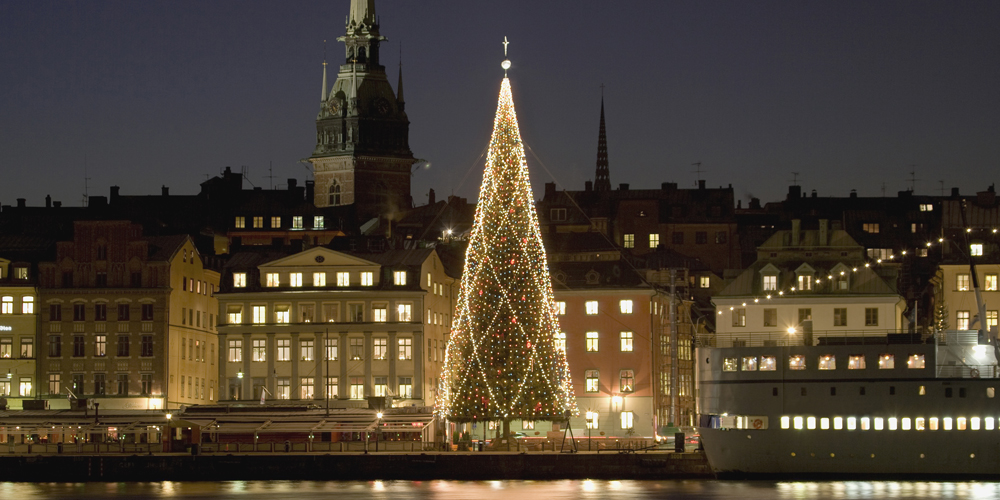 Julgran mitt i Stockholm stad